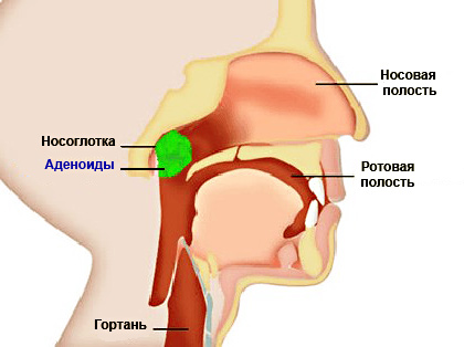Как записать храп во сне
