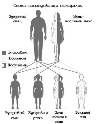 схема наследования гемофилии