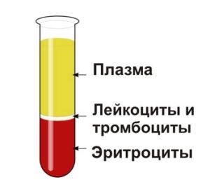 Диета и правильное питание при простатите у мужчин