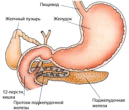 фото: панкреатит